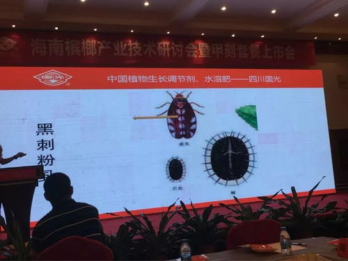 創新驅動，合作共贏 2018檳榔產業技術研討交流會之軟件開發篇